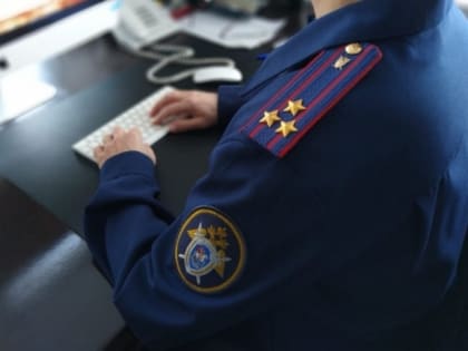 Возбуждено уголовное дело в отношении жителя ДНР за неуважение к суду