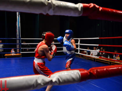 В одной из спортшкол Горловки началось строительство современного боксерского зала