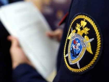 В ДНР перед судом предстанет местный житель за убийство супруги
