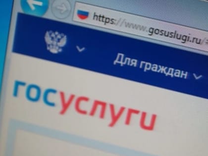 В ДНР внедрят сервис «Госуслуги» до конца 2023 года