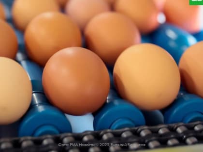 ФАС: яйца начали дешеветь в 10 регионах