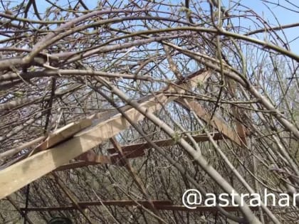 Дмитрий Астрахань: Работа артиллеристов Донецкого корпуса на Авдеевском направлении