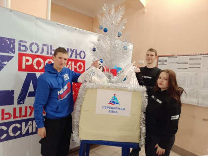 Юрий Будрин: Серебряная ёлка. Сегодня 28 декабря 2023 года активисты ОБЩЕСТВЕННОЙ ОРГАНИЗАЦИИ "МОЛОДАЯ РЕСПУБЛИКА&q