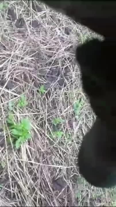 Техника из германии