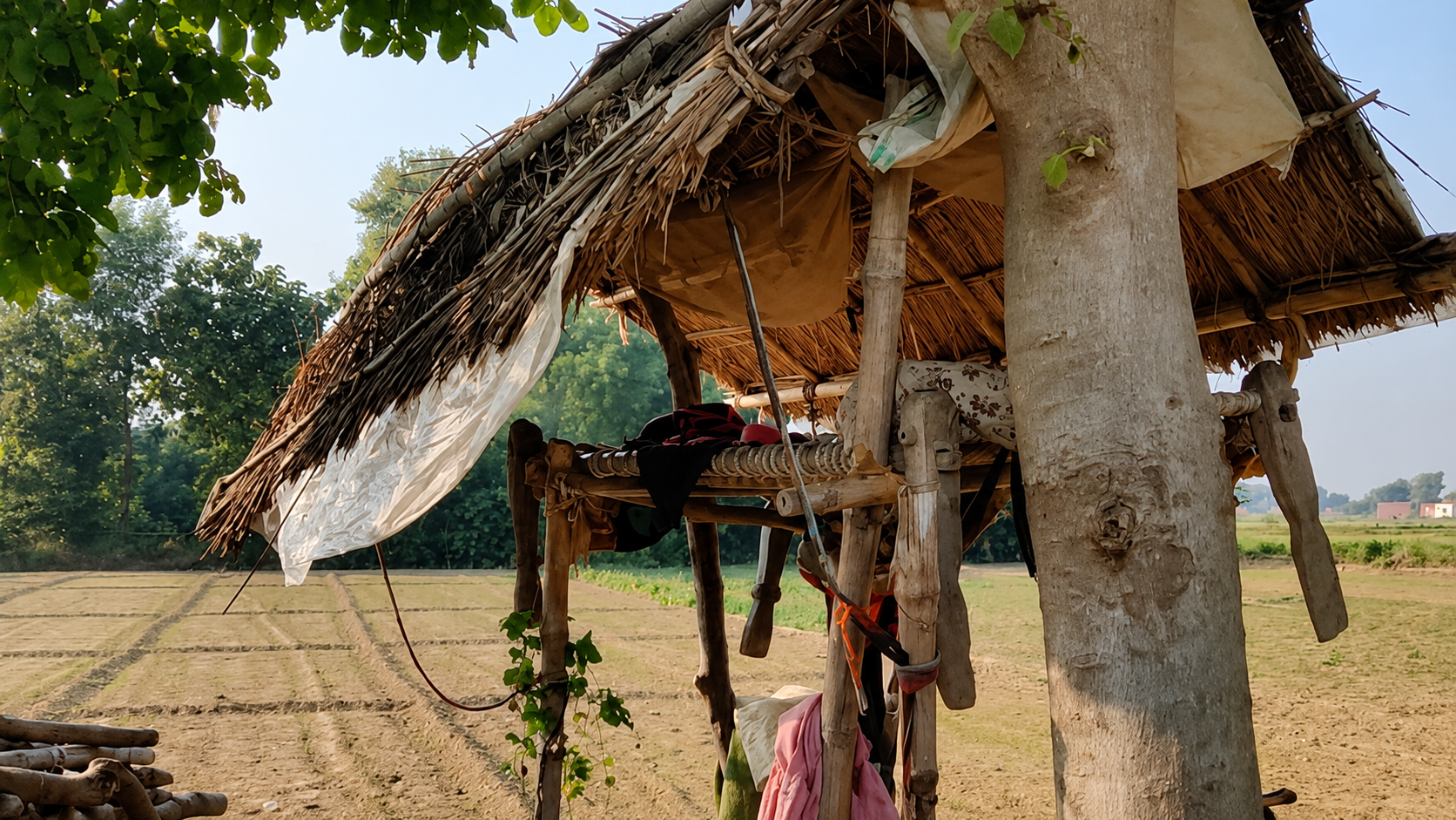 Huts in Village Farm