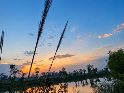 Golden Dusk Over the Silent Lake | Ultra HD Wallpaper