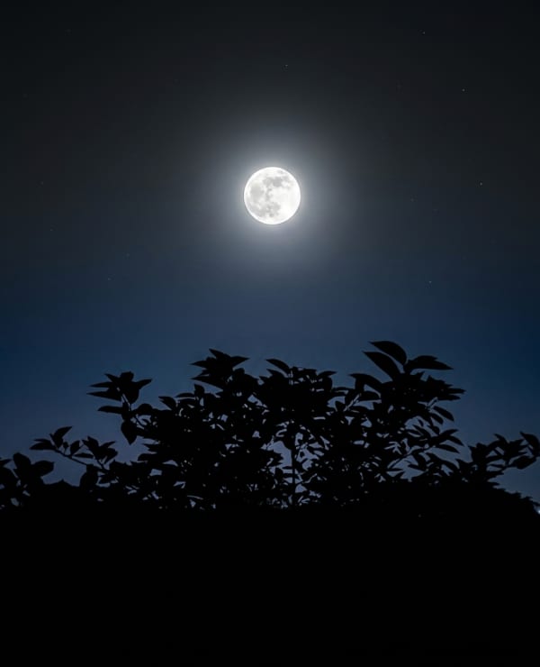 Moonlit Silence Minimal Night Sky with Silhouette