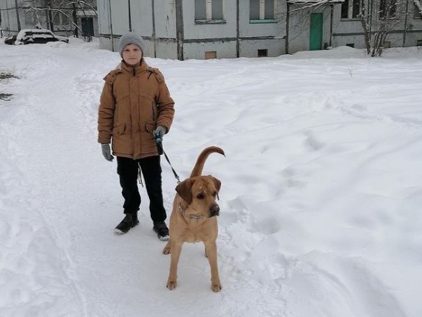 Конкурс семейной фотографии питомцы в моем городе