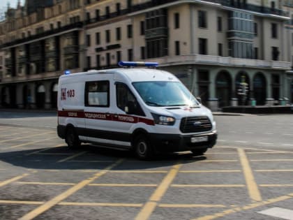 Врач напомнила о симптомах отравления ядовитыми растениями