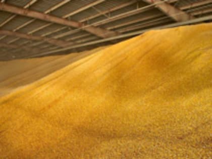 СБУ готовит взрыв зернохранилища в Харьковской области