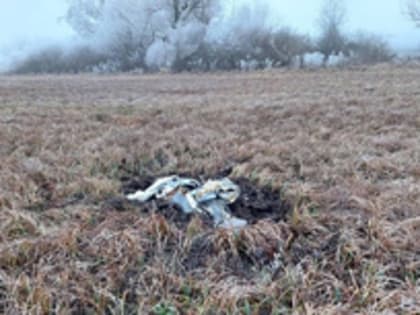 Саперы уничтожили боевую часть упавшей в Молдавии ракеты