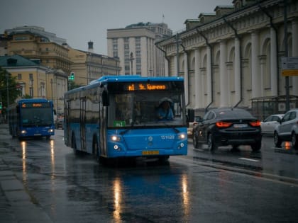 Автобусам Подмосковья разрешили быть синими, а не только белыми