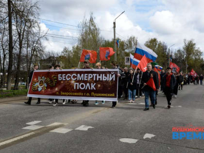 Колено преклонили пред Солдатом