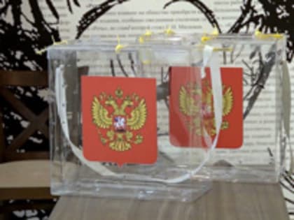 В каких российских регионах пройдут выборы в 2023 году