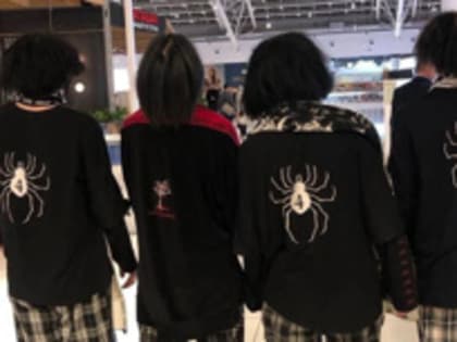 "ЧВК Редан": откуда пауки ползут