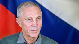 Шуляк птица