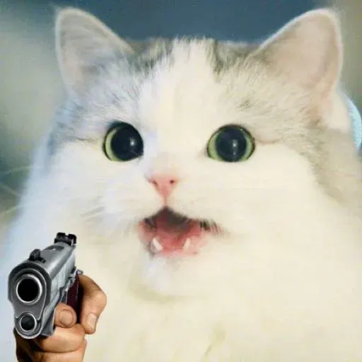 chonkgun-image