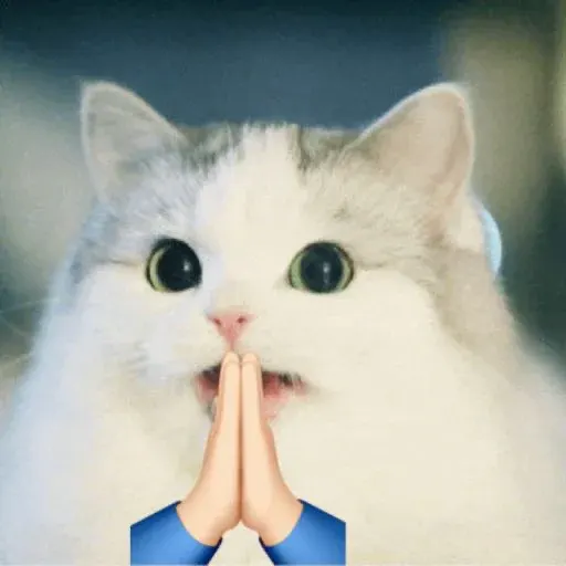 chonkpopcorn-image