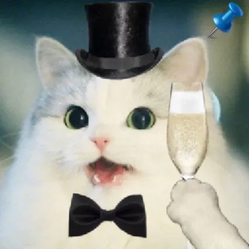 chonkhatchampagne-image