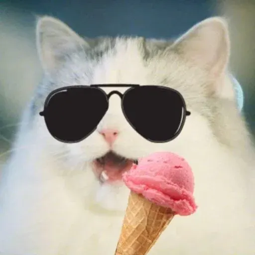 chonkicecream-image