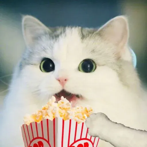 chonkpopcorn-image