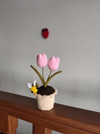 Maceta tulipanes thumbnail