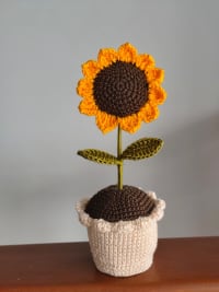 Maceta de Girasol mini