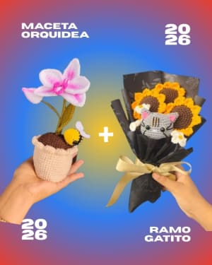 Combo Mundial: Ramo gatito+ Maceta orquidea