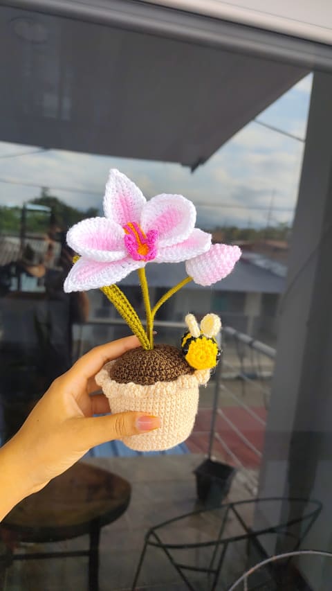 Maceta orquídea - Vista 1