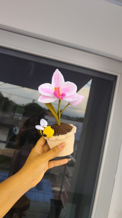 Maceta orquídea - Vista 3