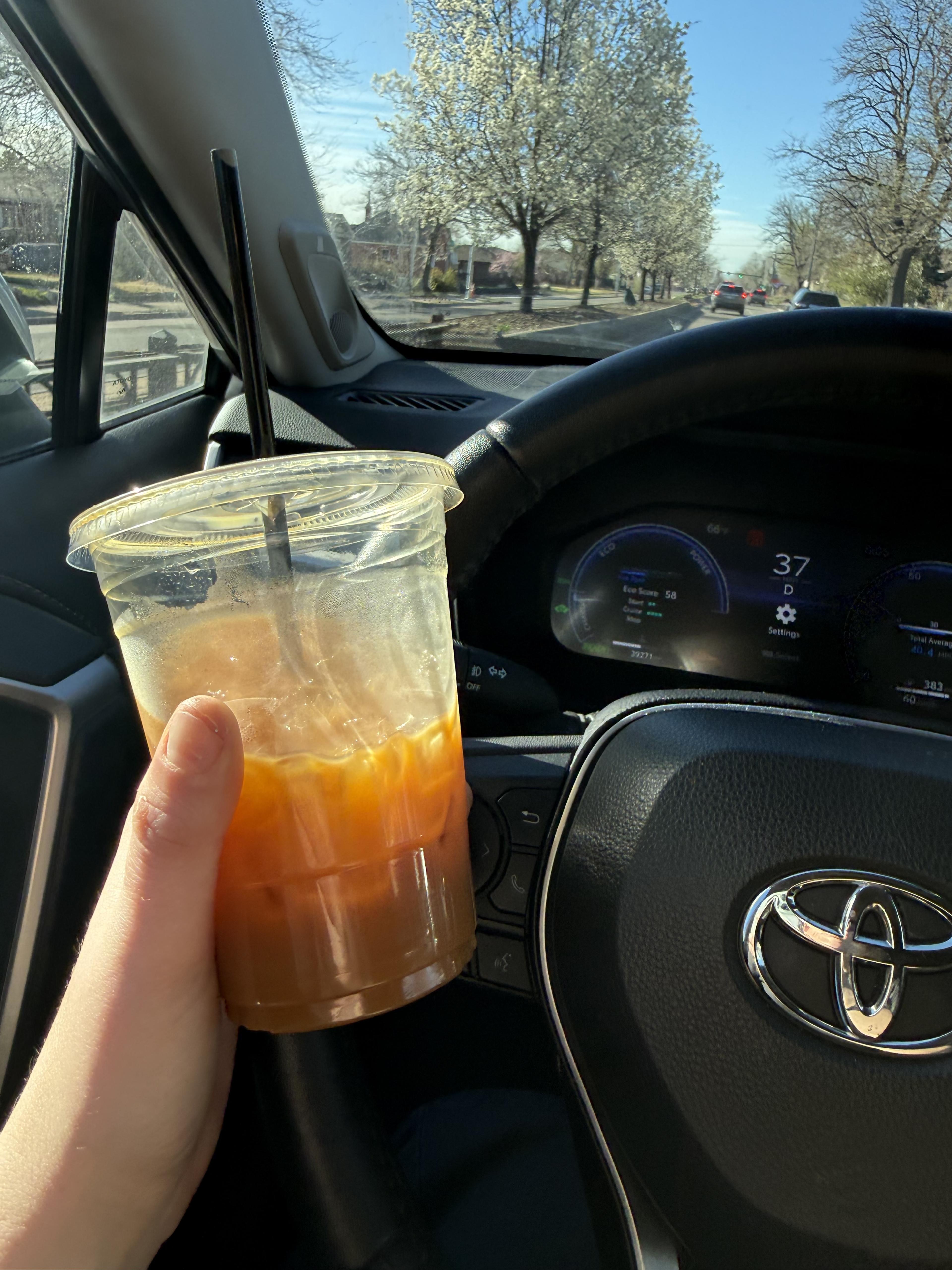 Iced Americano W Whole Milk