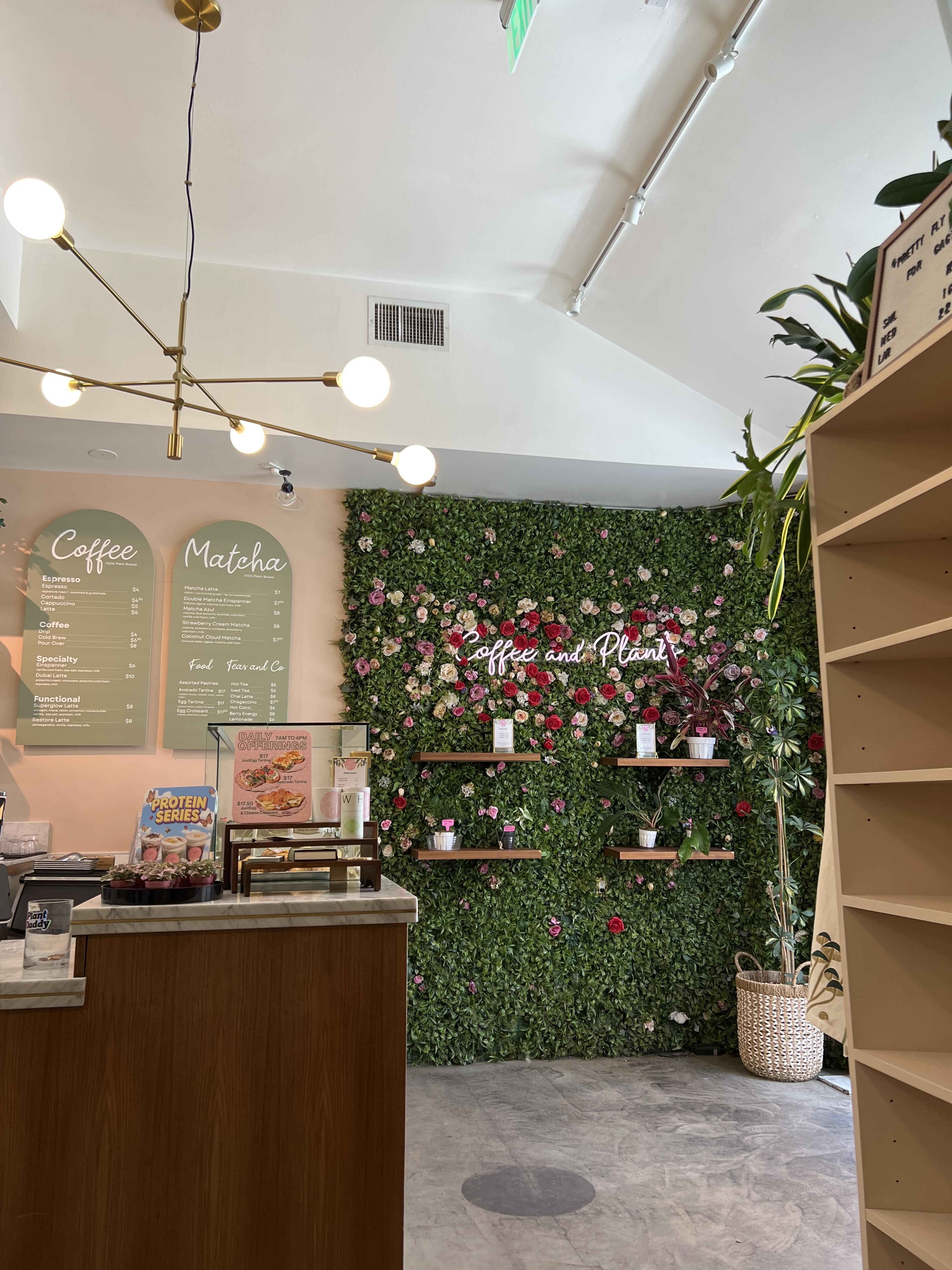 Coffee and Plants