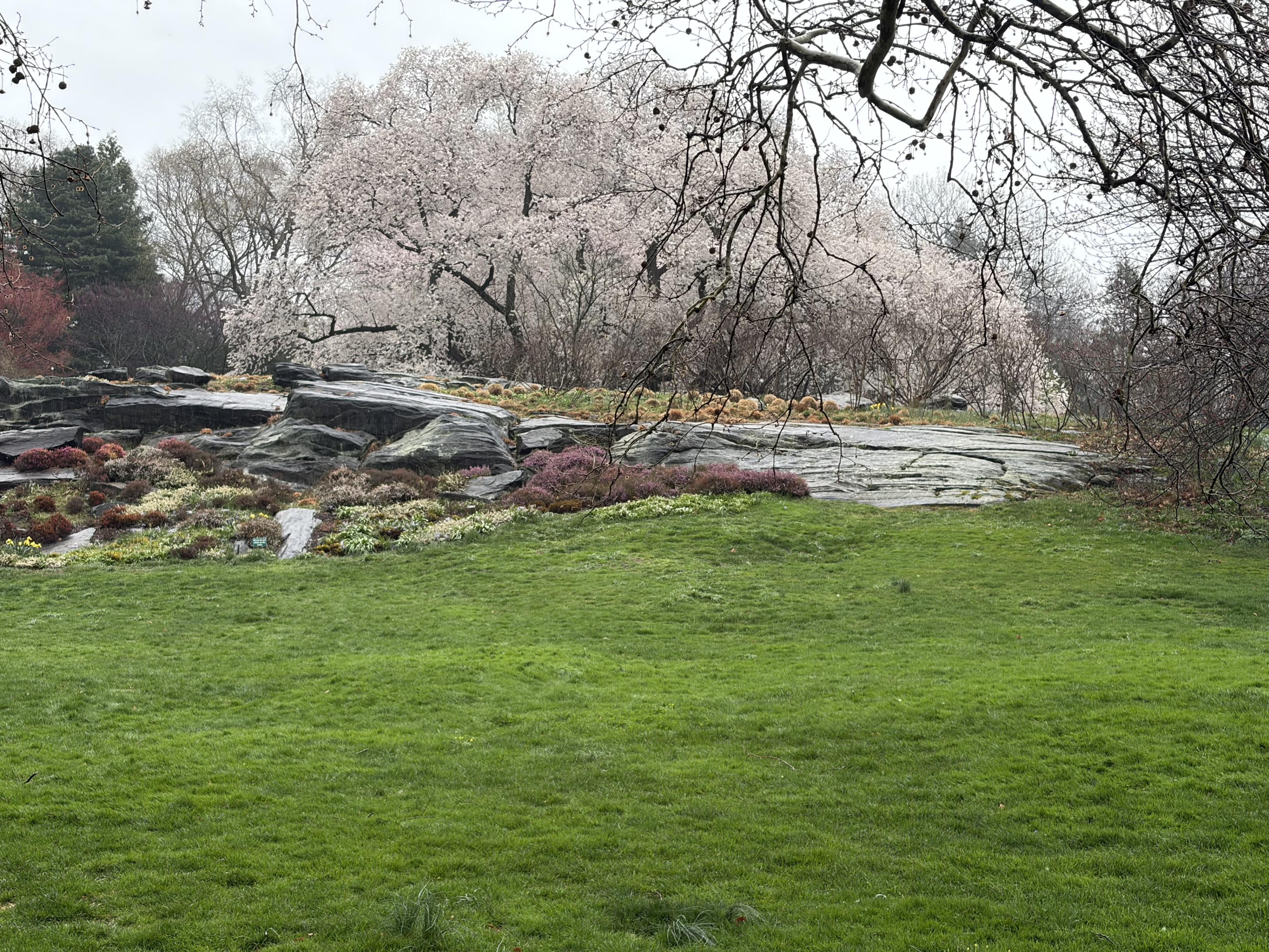 New York Botanical Garden