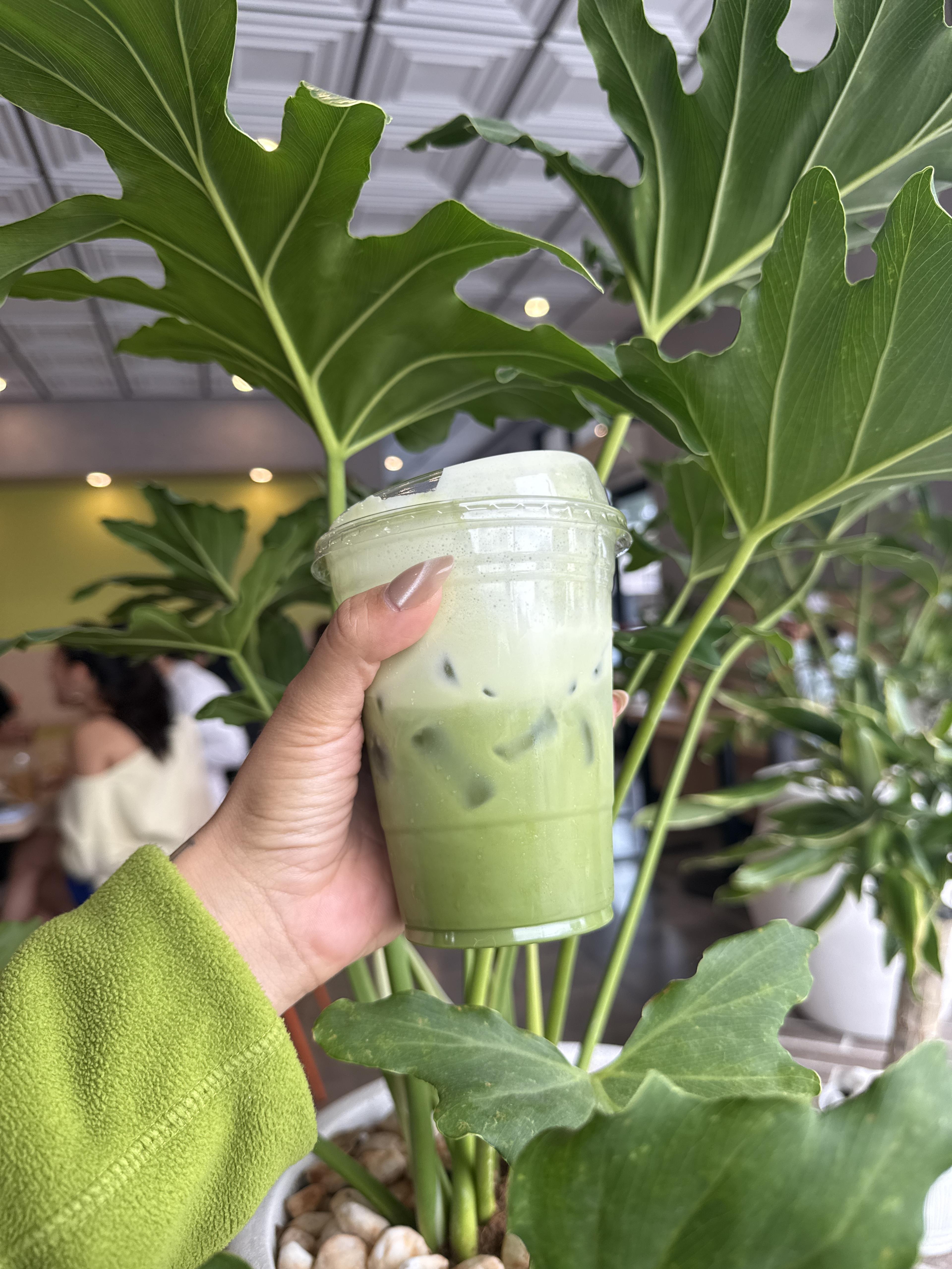 Matcha Latte W/ Soy Milk