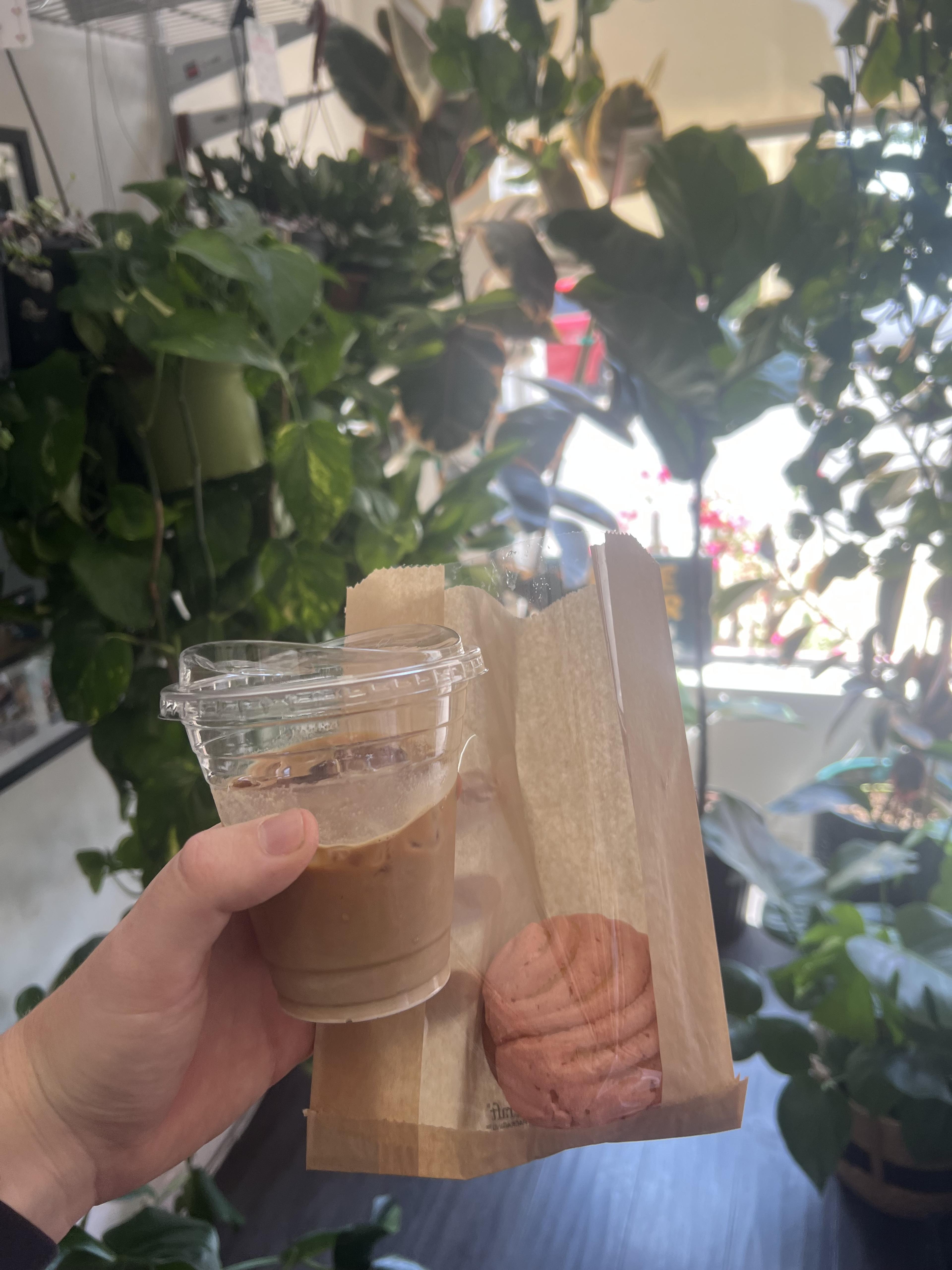 Iced Cortado