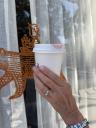 Hot Latte