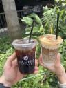 Cold Brew