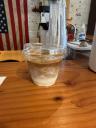 Iced Cortado