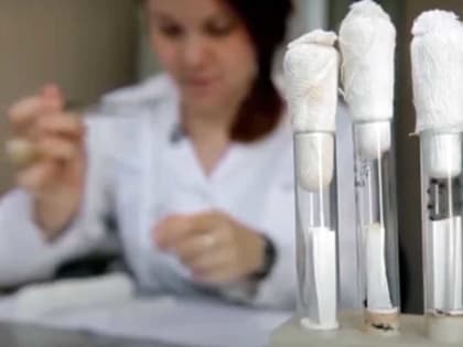 В Башкирии более 1,6 тысяч человек подверглись смертельной опасности