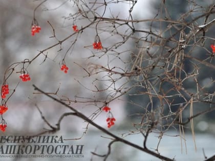 В Башкирии ожидаются морозы и снегопады