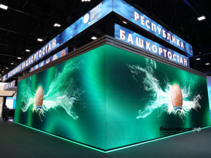 Башкирия расправила крылья и полетела: Итоги ПМЭФ – 2023