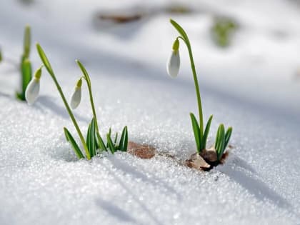 Рабочая неделя в Башкирии начнется с плюсовой температуры