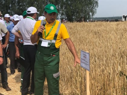 БашНИИСХ: хорошие урожаи можно получать и на севере Башкирии