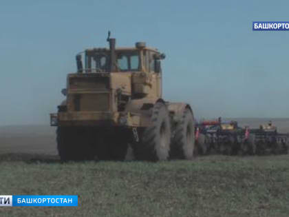 В Башкирии посеяли 15 тысяч гектаров сахарной свеклы