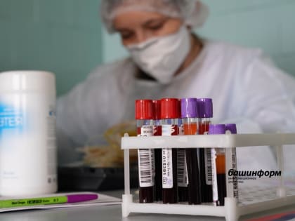 Новые инициативы в области экологии и устойчивого развития