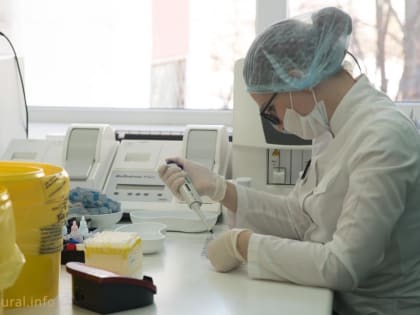 В Башкирии клещи покусали 9,5 тысячи человек