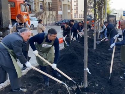 В рамках акции «Зеленая Башкирия» депутаты посадили липы-крупномеры