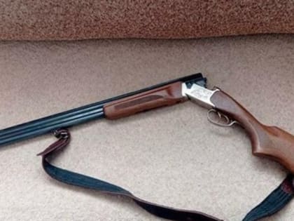 В Баймакском районе Башкирии браконьер застрелил лебедя