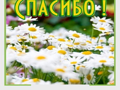 Большое спасибо Гузель Рафаэловне!