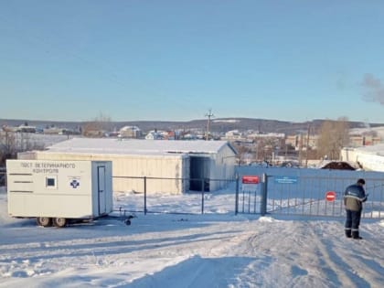 У бройлеров на ферме в Башкирии выявлена вирусная инфекция. Всё поголовье уничтожено